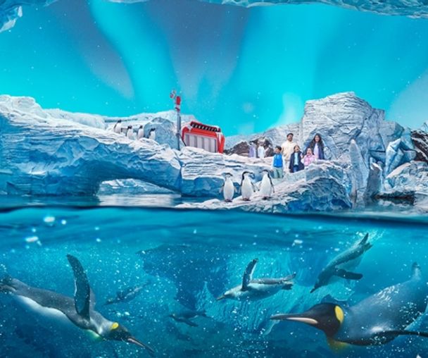 activity_detail_image