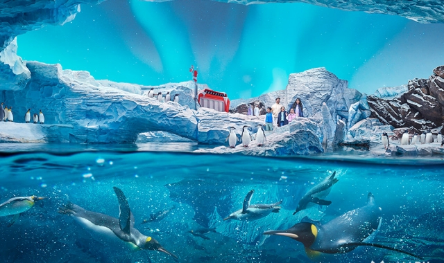 Abu Dhabi: Ferrari World, Yas Waterworld, and Warner Bros. Theme Park Admission Tickets