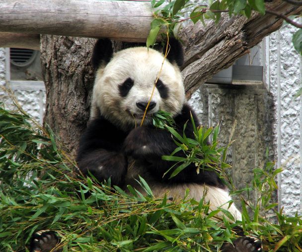 activity_detail_image