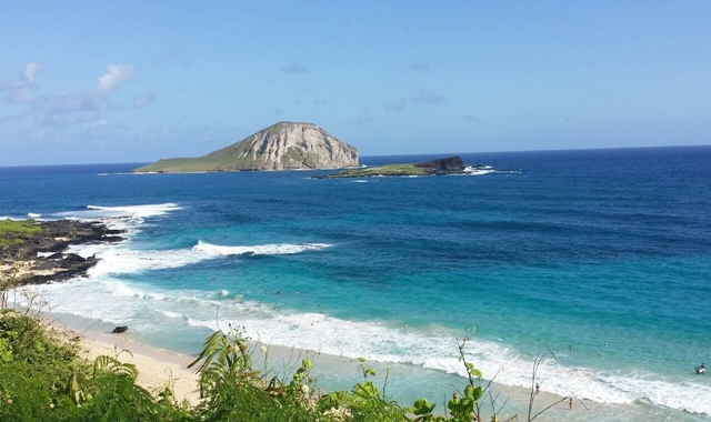 하와이 공항 프라이빗 픽업 & 동부 해안 72번 국도 시티투어 (한국인 가이드, 호텔 출발 가능)
