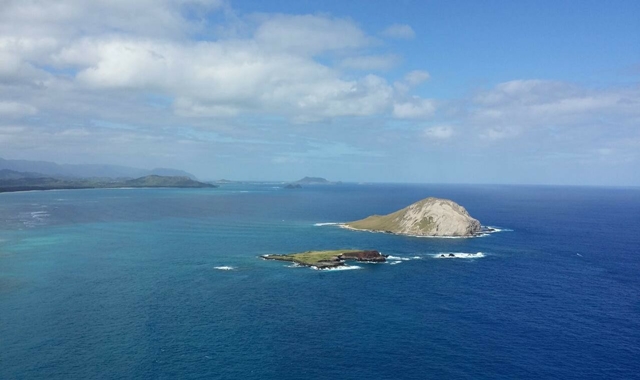 하와이 공항 프라이빗 픽업 & 동부 해안 72번 국도 시티투어 (한국인 가이드, 호텔 출발 가능)