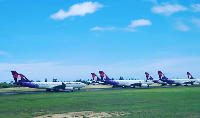 하와이 공항 프라이빗 픽업 & 동부 해안 72번 국도 시티투어 (한국인 가이드, 호텔 출발 가능)