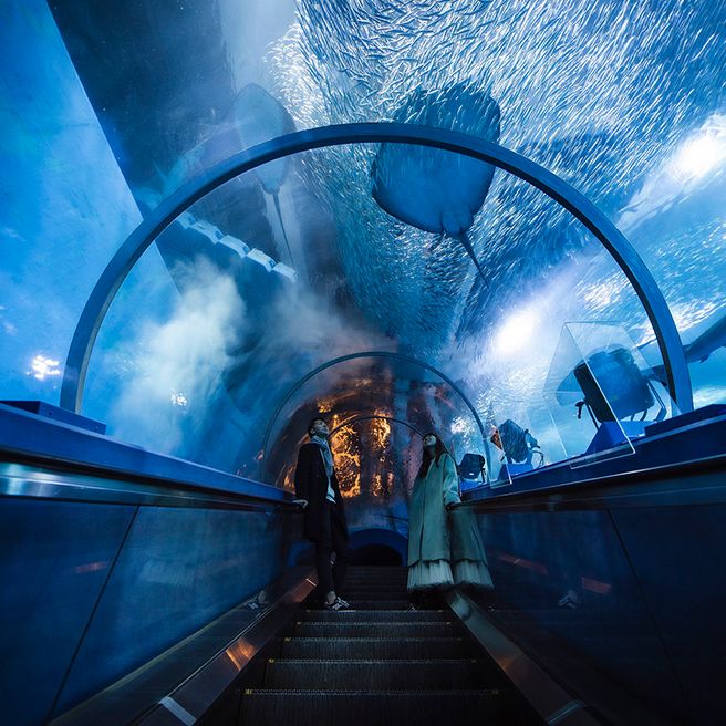 Yokohama Hakkeijima Sea Paradise Ticket