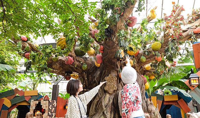 【独占割引】沖縄フルーツランド 入場チケット