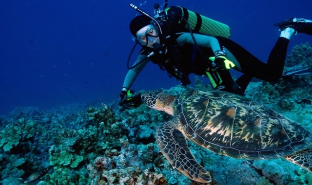 [무료 픽업] 괌 써니다이브 체험 스쿠버 다이빙 (전문 강사님)