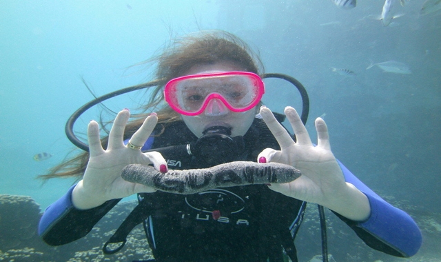 [무료 픽업] 괌 써니다이브 체험 스쿠버 다이빙 (전문 강사님)