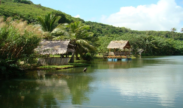 [한국인 가이드 진행] 괌 정글 어드벤처 리버 크루즈 투어