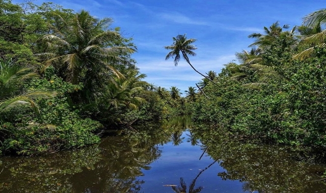 [한국인 가이드 진행] 괌 정글 어드벤처 리버 크루즈 투어