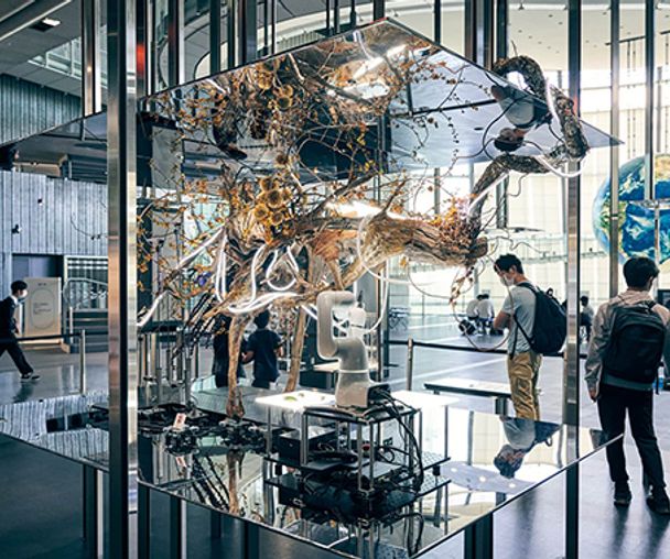 activity_detail_image