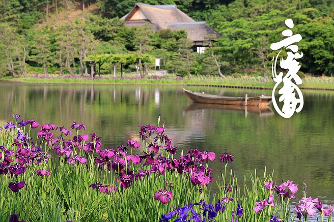 요코하마 산케이엔 정원 입장권