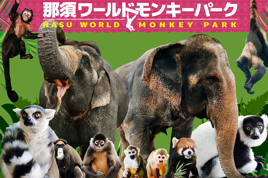 Tochigi Nasu World Monkey Park Zoo Ticket