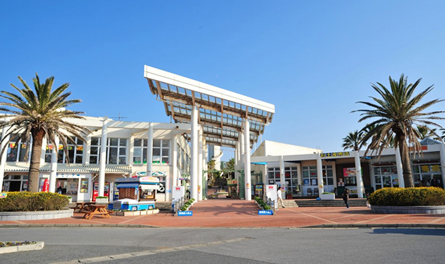 activity_detail_image