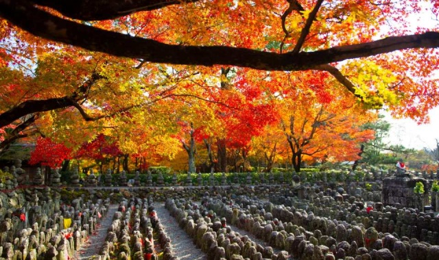 京都 嵐山 えびす屋 人力車ツアー