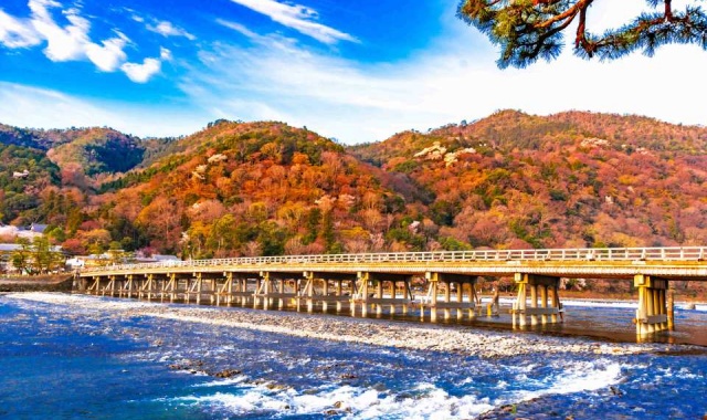 京都 嵐山 えびす屋 人力車ツアー