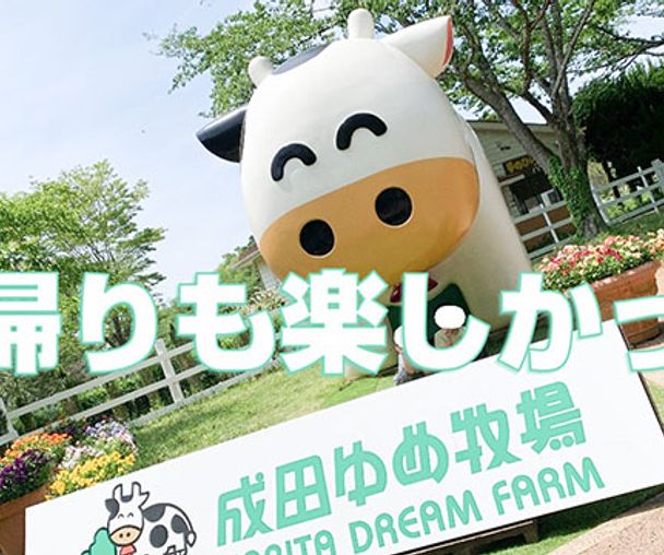 activity_detail_image