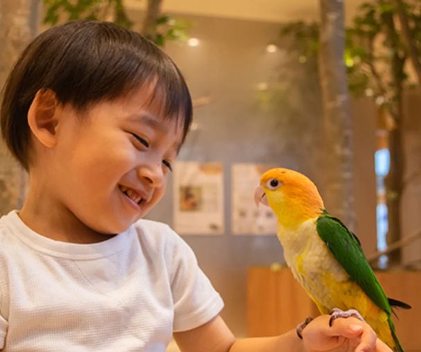 activity_detail_image