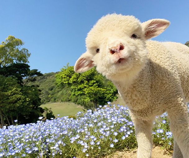 activity_detail_image