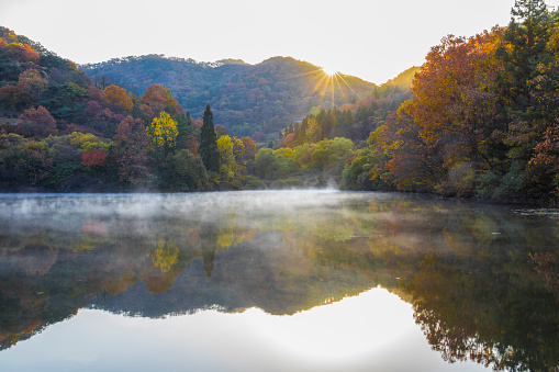 간사이 공항 - 아리마 온천 편도 픽업 서비스