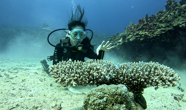 사이판 스쿠버 체험 다이빙