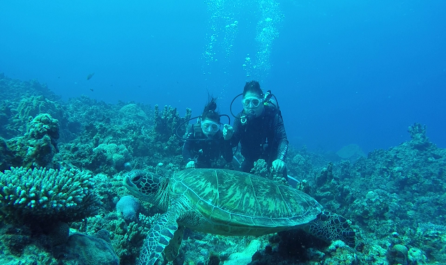 사이판 스쿠버 체험 다이빙