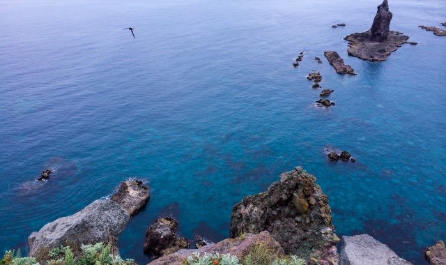 [흰그림자투어] 홋카이도 오타루 샤코탄 일일 버스투어 (30인 한정)