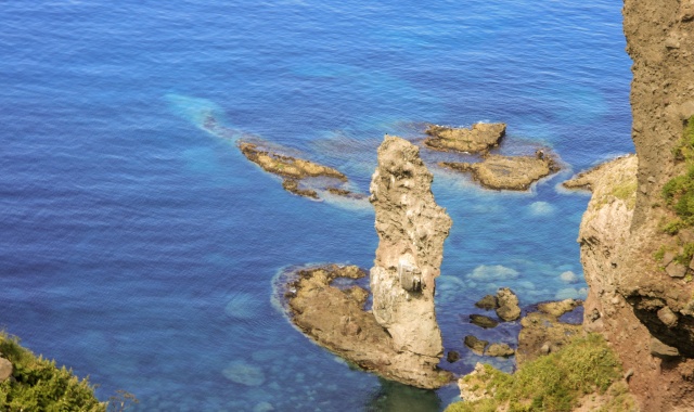 [흰그림자투어] 홋카이도 오타루 샤코탄 일일 버스투어 (30인 한정)