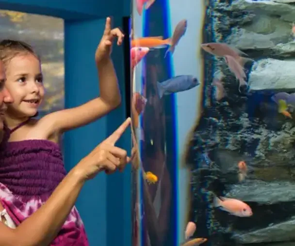 activity_detail_image