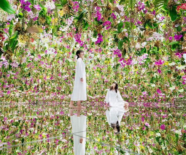 activity_detail_image