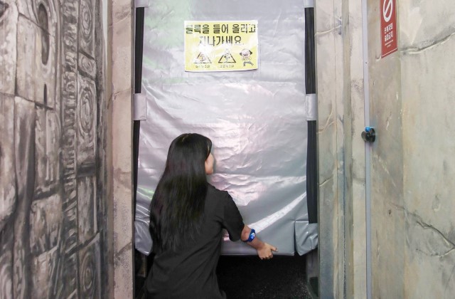 제주 다이나믹메이즈 입장권