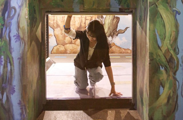 제주 다이나믹메이즈 입장권