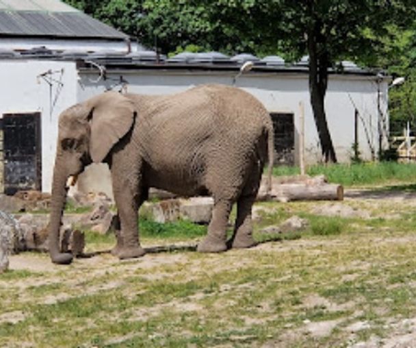 activity_detail_image