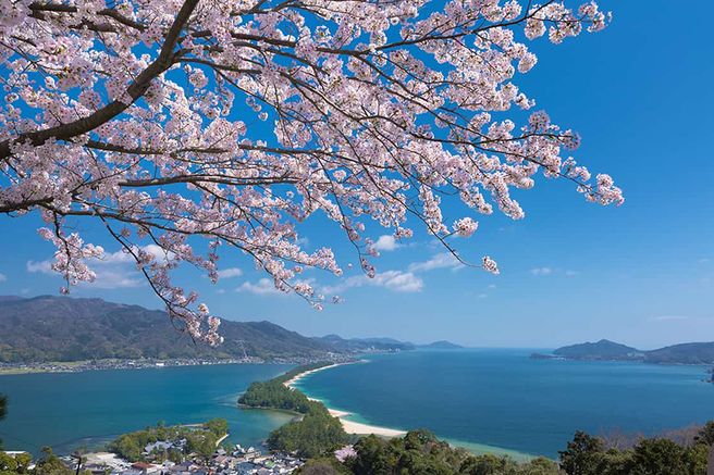 Kyoto Amanohashidate & Ine Funaya 2-Day Pass