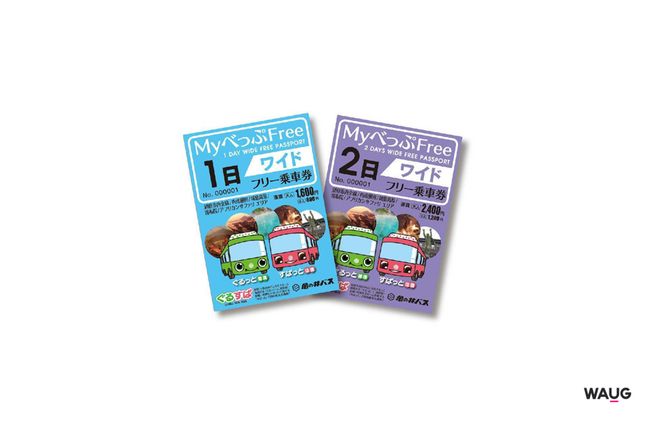 벳부 카메노이 버스 미니 & 와이드 1일 패스 (후쿠오카 공항 수령)