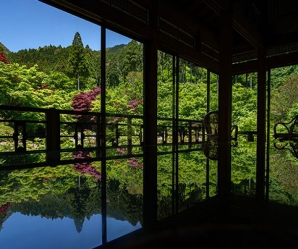 activity_detail_image