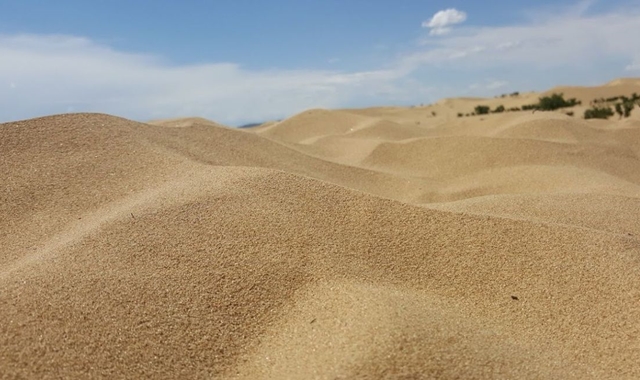 モンゴル アルハンガイ ミニ砂漠 単独ツアー