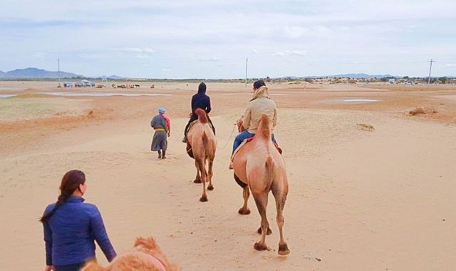 モンゴル アルハンガイ ミニ砂漠 単独ツアー