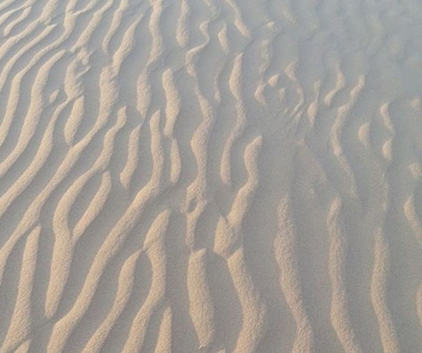 activity_detail_image