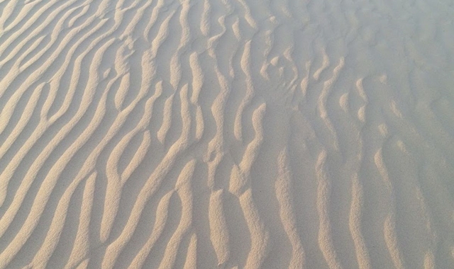 モンゴル アルハンガイ ミニ砂漠 単独ツアー