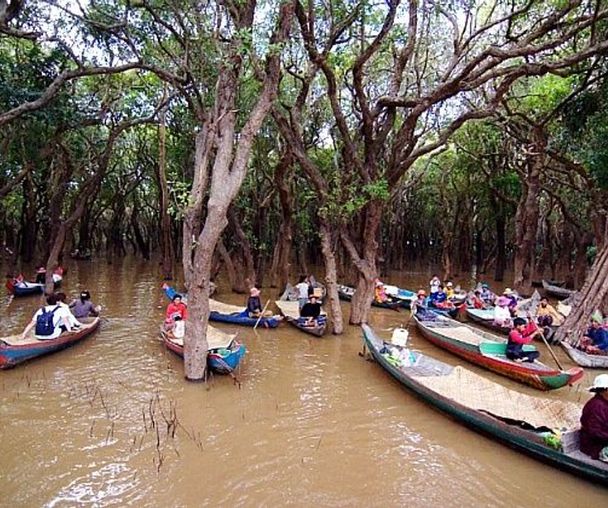 activity_detail_image