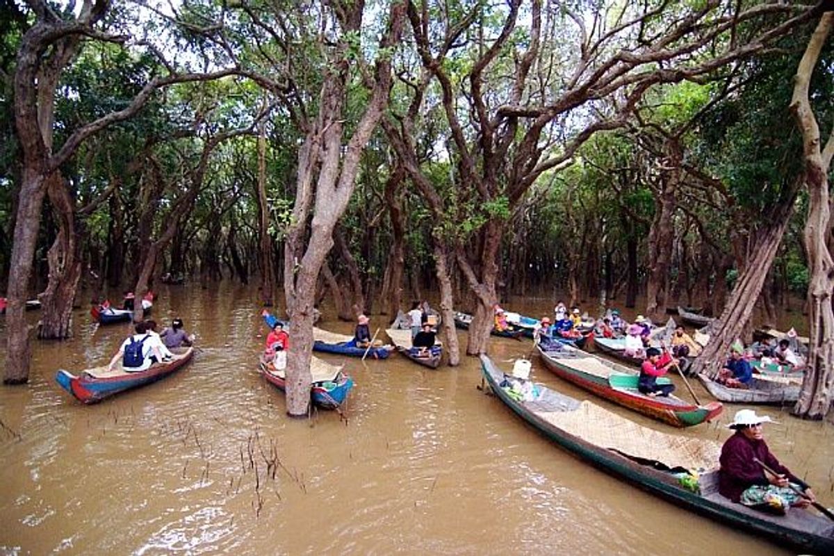 앙코르 빅투어 & 톤레샵 투어 (한국어 가이드)
