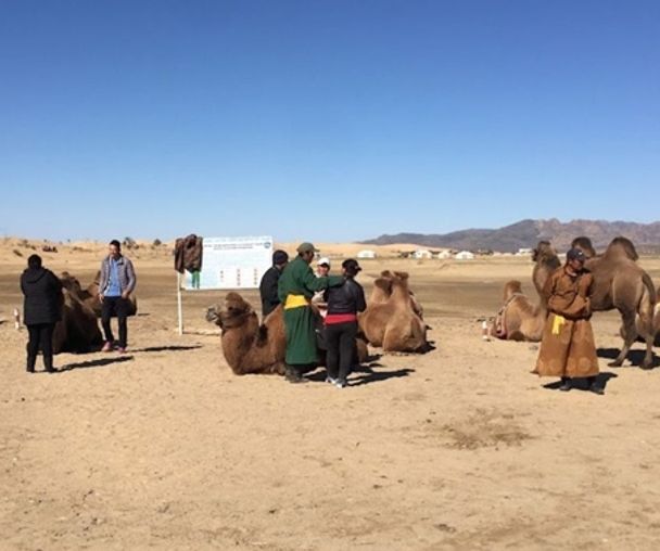 activity_detail_image