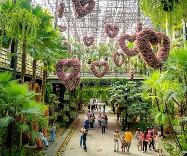 activity_detail_image