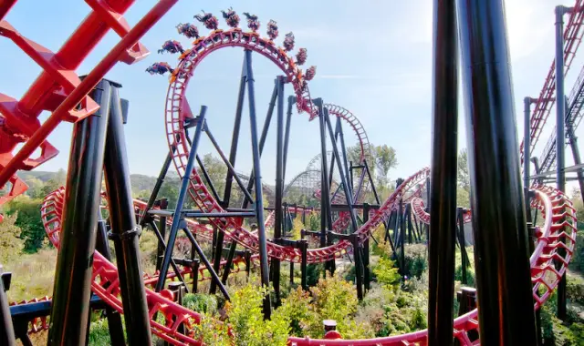 벨기에 왈리비 테마파크 입장권