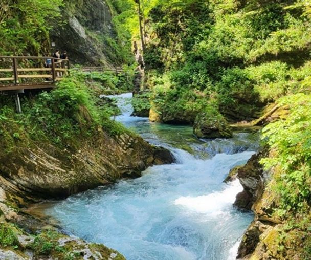 activity_detail_image