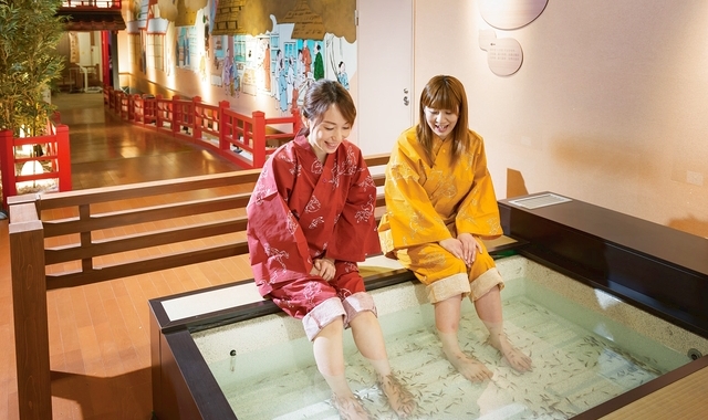 神戸 有馬温泉 太閤の湯 入場チケット