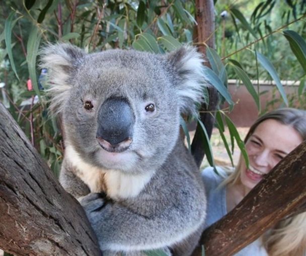 activity_detail_image