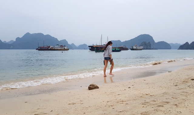 Ha Long Bay: Luxury Limousine Tour