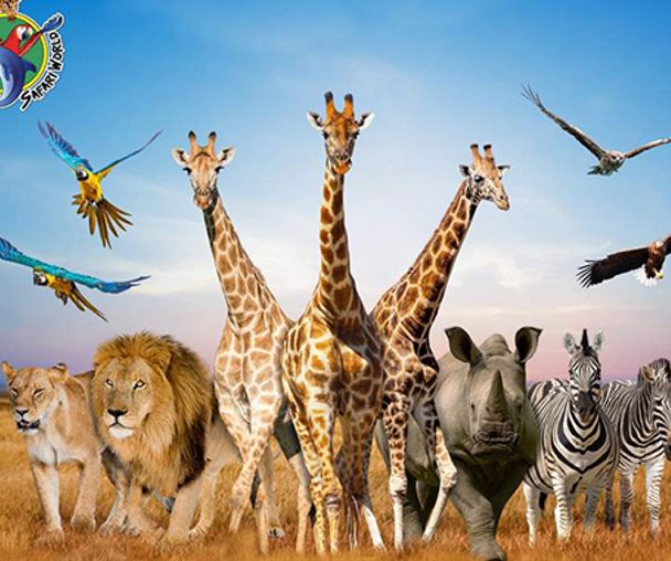 activity_detail_image