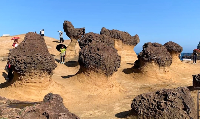 대만 타이베이 예스진지 테슬라 단독 투어 (자유 맞춤 일정)