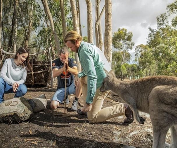 activity_detail_image